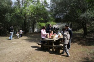 Picnic campestre